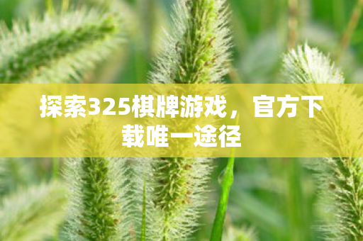 探索325棋牌游戏图片