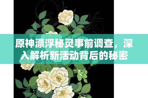 深入解析新活动背后的秘密图片