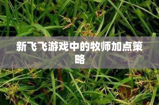新飞飞游戏中的牧师加点策略图片