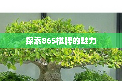 探索865棋牌的魅力图片