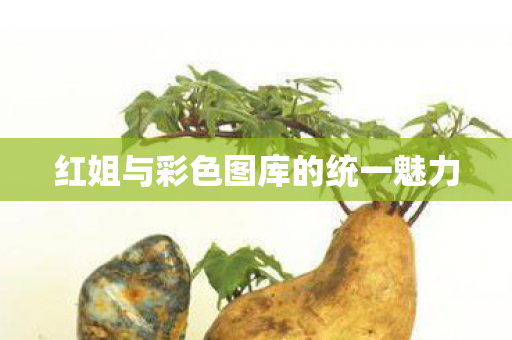红姐与彩色图库的统一魅力图片