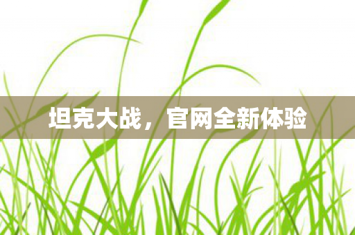 官网全新体验图片
