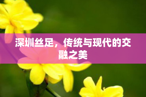 传统与现代的交融之美图片