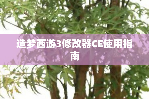 造梦西游3修改器CE使用指南图片