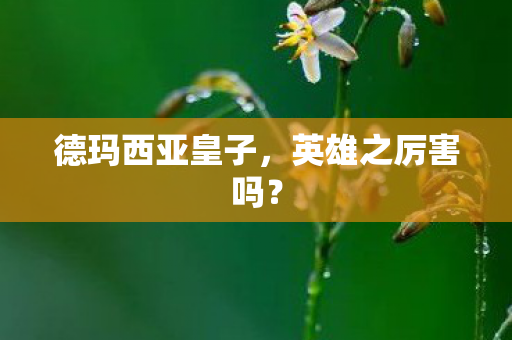德玛西亚皇子图片