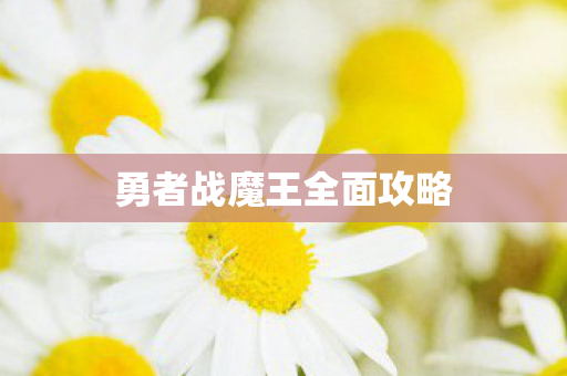 勇者战魔王全面攻略图片