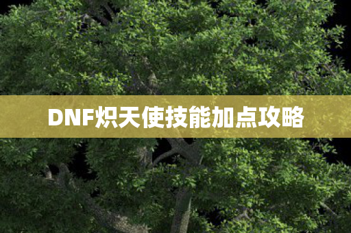 DNF炽天使技能加点攻略图片