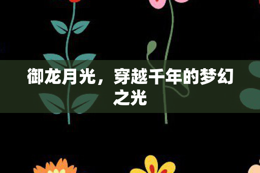 穿越千年的梦幻之光图片