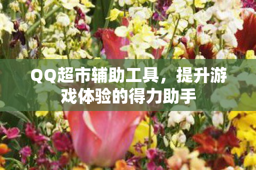 提升游戏体验的得力助手图片