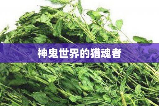 神鬼世界的猎魂者图片