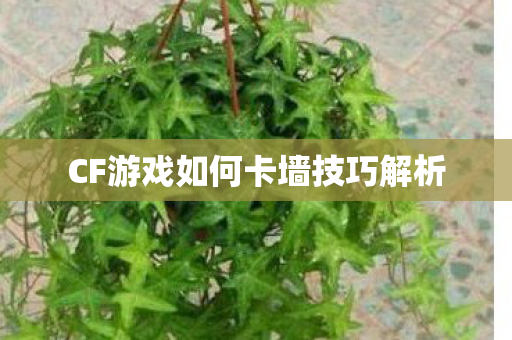 CF游戏如何卡墙技巧解析图片