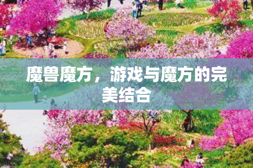 游戏与魔方的完美结合图片