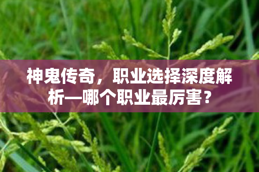 职业选择深度解析图片