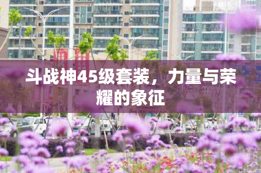 斗战神45级套装图片