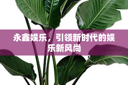 引领新时代的娱乐新风尚图片