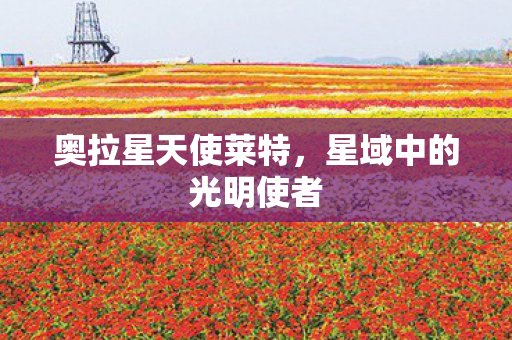 星域中的光明使者图片