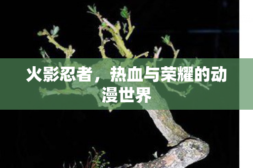 热血与荣耀的动漫世界图片
