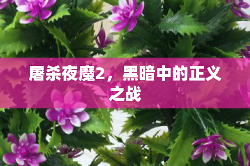 黑暗中的正义之战图片