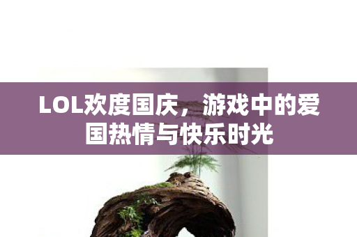 游戏中的爱国热情与快乐时光图片