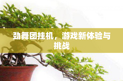 游戏新体验与挑战图片