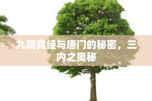九阴真经与唐门的秘密图片