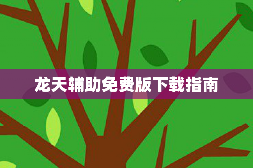 龙天辅助免费版下载指南图片