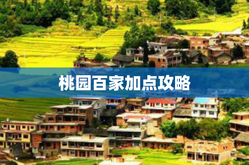 桃园百家加点攻略图片