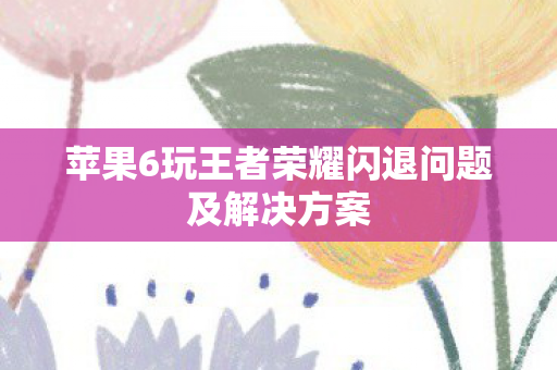 苹果6玩王者荣耀闪退问题及解决方案图片