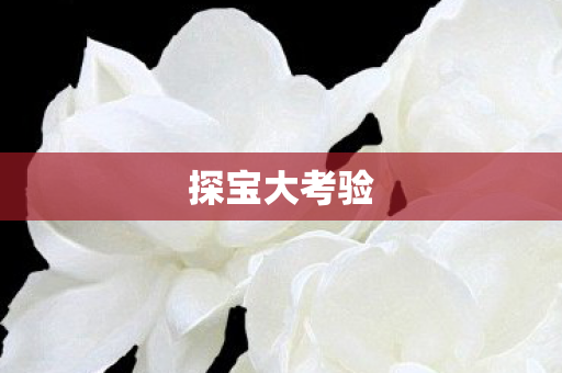 探宝大考验图片
