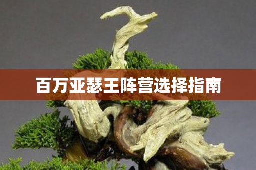 百万亚瑟王阵营选择指南图片