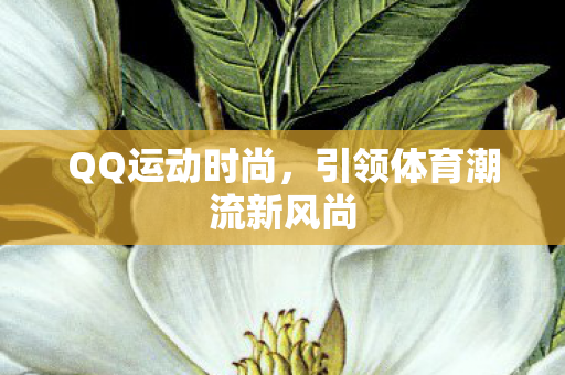 引领体育潮流新风尚图片