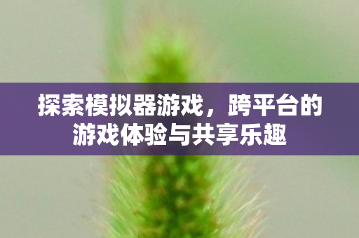 跨平台的游戏体验与共享乐趣图片