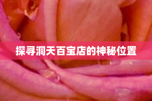 探寻洞天百宝店的神秘位置图片