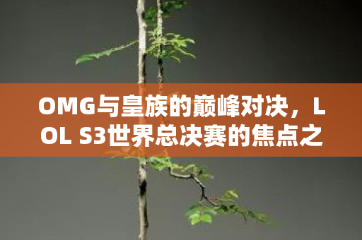 LOL S3世界总决赛的焦点之战图片