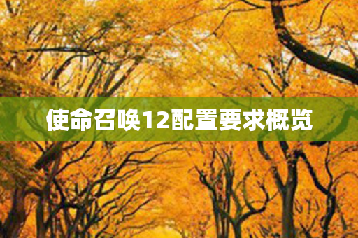 使命召唤12配置要求概览图片
