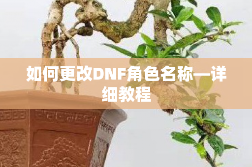 如何更改DNF角色名称图片