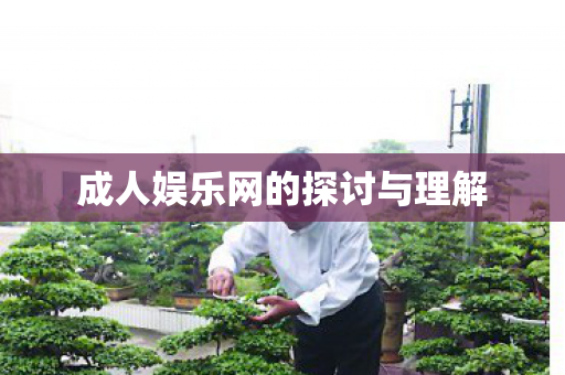 成人娱乐网的探讨与理解图片