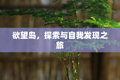 探索与自我发现之旅图片