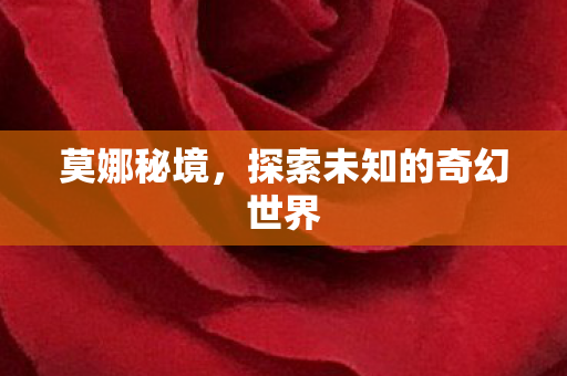 探索未知的奇幻世界图片