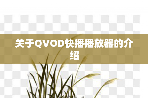 关于QVOD快播播放器的介绍图片
