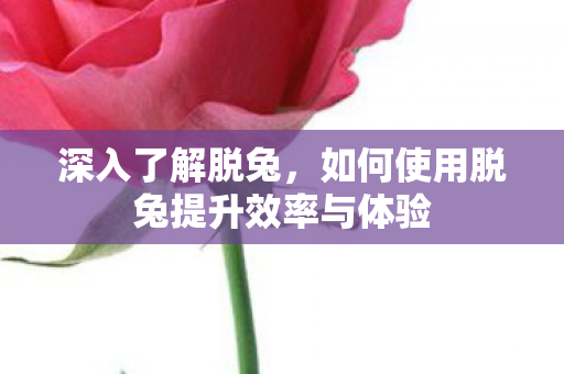 如何使用脱兔提升效率与体验图片