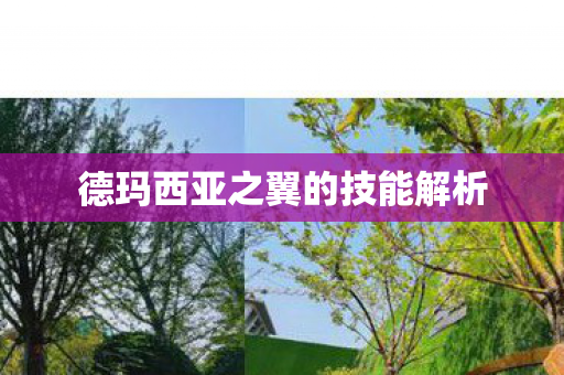 德玛西亚之翼的技能解析图片