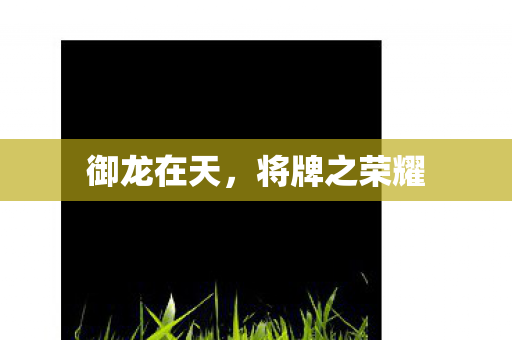 将牌之荣耀图片