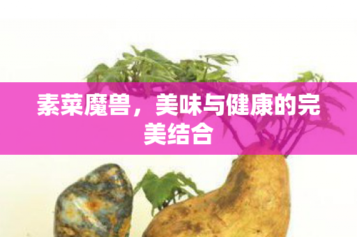 美味与健康的完美结合图片