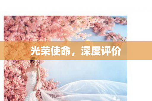 光荣使命图片
