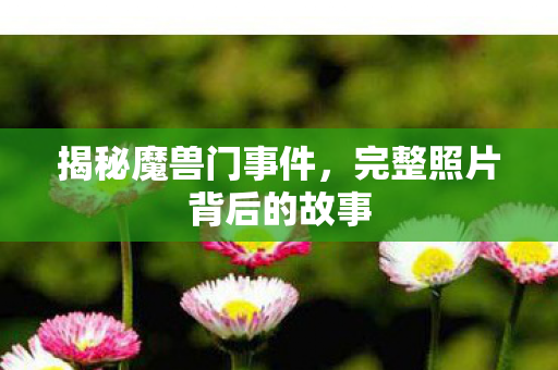 完整照片背后的故事图片