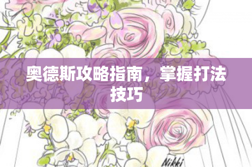 奥德斯攻略指南图片