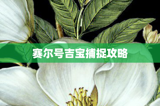 赛尔号吉宝捕捉攻略图片