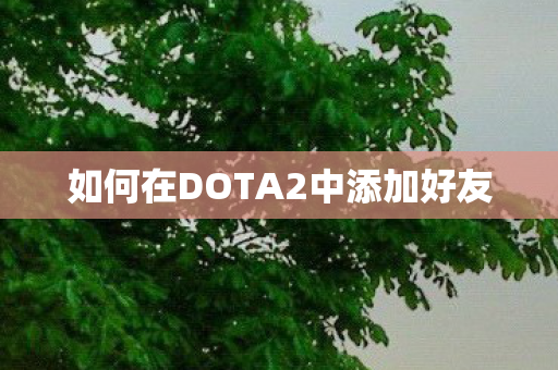 如何在DOTA2中添加好友图片
