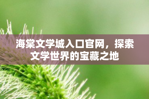 探索文学世界的宝藏之地图片